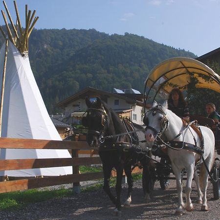 Apartament Reitanlage Dagnhof Walchsee Zewnętrze zdjęcie