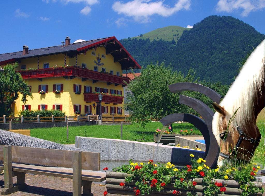 Apartament Reitanlage Dagnhof Walchsee Zewnętrze zdjęcie